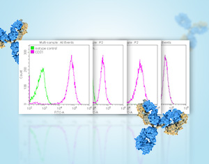 Flow Cytometry Antibodies