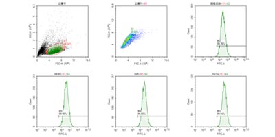 FACS validation