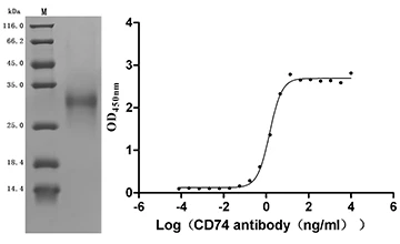 CSB-MP004956HU1(F2) Validated Data