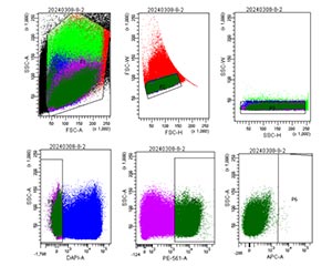 Cell sorting