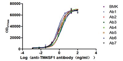 Recombinant expression after sequencing positive clones