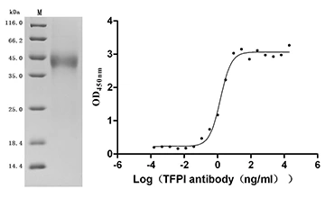 CSB-MP023437HU Validated Data