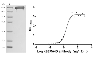 CSB-MP004956HU1(F2) Validated Data