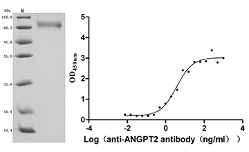 CSB-MP001707DO Validated Data